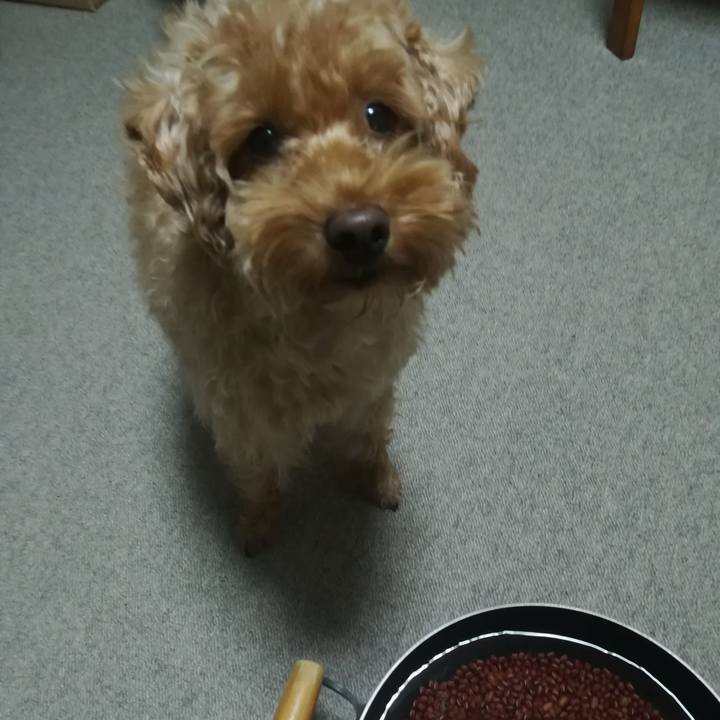 2dee7c44 0010 48f3 a9ac c476366aee51 1546866007662