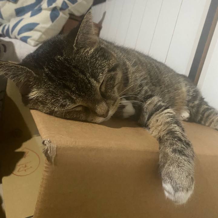 2dee83b5 d608 48d0 b6ca 1bef4da2561d 1723902321603