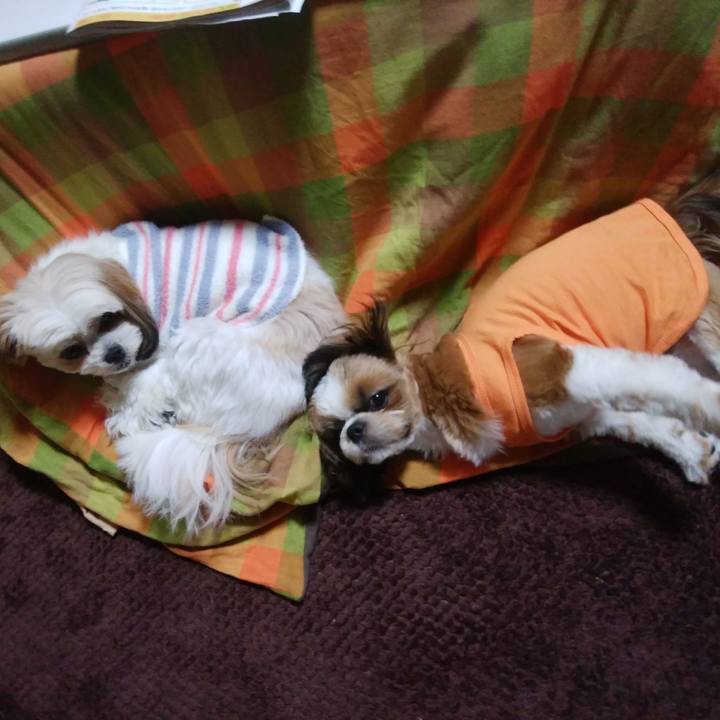 2deec18e 8e51 4a29 8c11 b0a9a4c76278 1540561832087