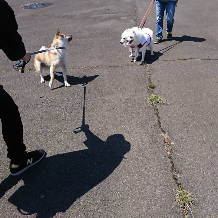 2deed326 39e0 4045 b044 26c3f9ecd33a 1556438640926