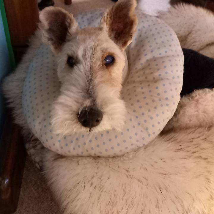 2def08f4 ac82 40f9 baf7 5c2f6cbcd4e1 1645676550942