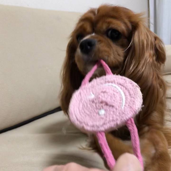 2def11f3 0390 404e 9971 5bf16571c1a8 1598826543123