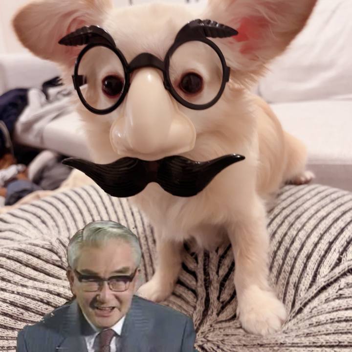 2def3dc9 777c 4339 8580 dbe409bcdd26 1716645947012