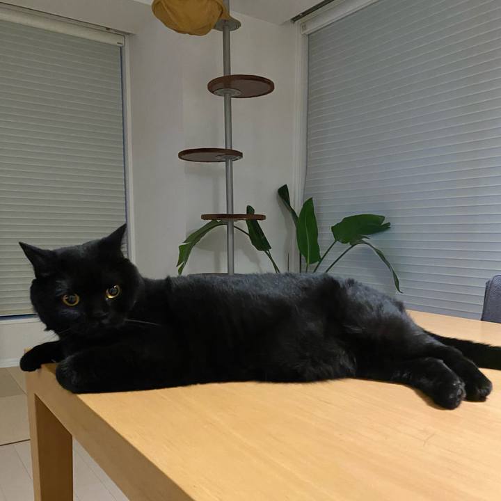 2def4f4e 52fe 4091 bf8e 8fa1309fc27a 1624536864120