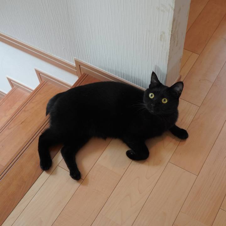 2def699c 2a9d 40f2 b183 cc9c7b53232b 1588516232263