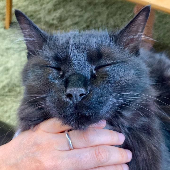 2def8a66 cb74 48e6 92c0 f7de34f2a730 1747830580333