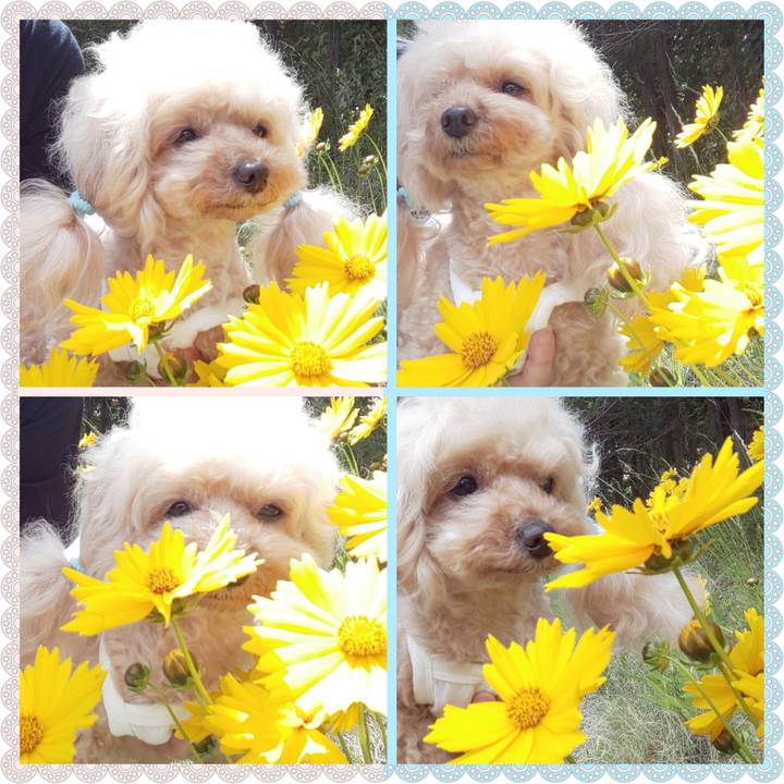 2defa0a6 9f93 421a aa5e 727509786381 1591095198119