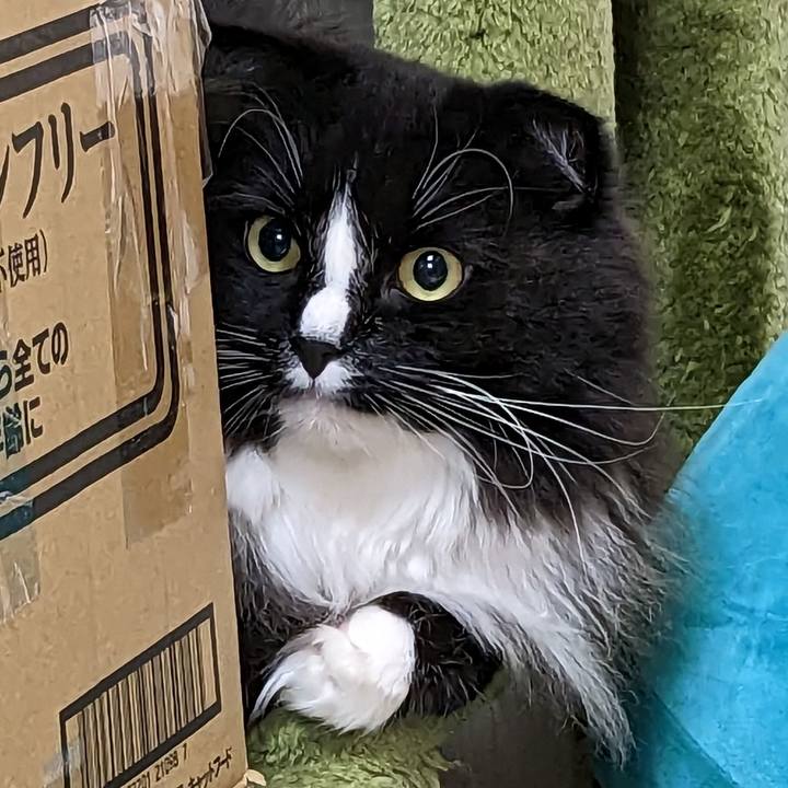 2defd1a9 600a 433a 9e41 09fafdf175c2 1680261672534