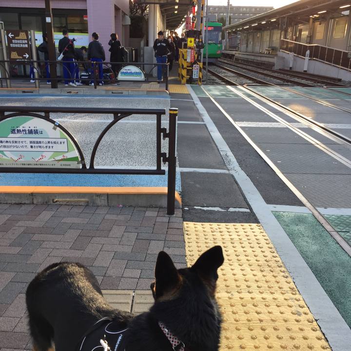 2defd829 2045 4f07 b969 45b3a1eaf0f5 1520059002025