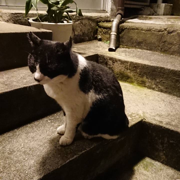 2df0048c 4251 4ff1 a433 1da928d07323 1698315600741