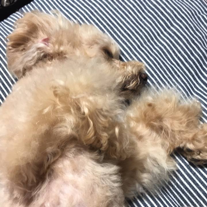 2df00c2b c3ca 4e22 9cb1 7b77fdaf8526 1597931735171