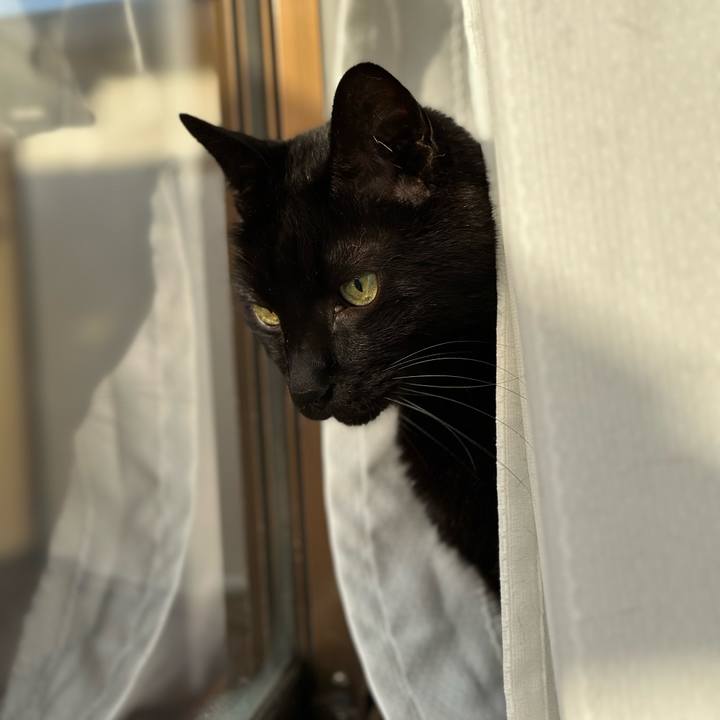 2df02737 95d9 4a63 948e e127d3de0ed6 1677894508394