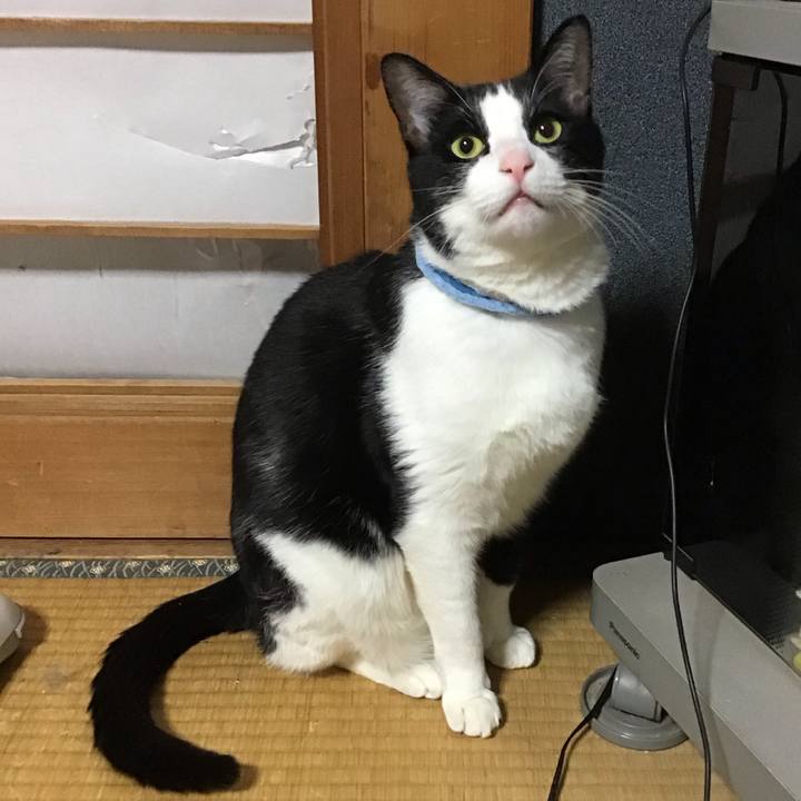 2df0281b 8557 4675 af42 609ab96f8e94 1682427401375