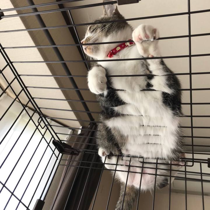 2df0b79a d3b7 4219 a85e 5db39dbcf3f1 1524443082088