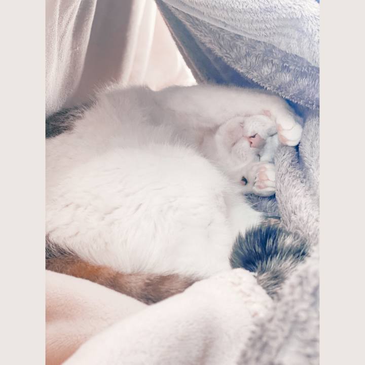 2df0bc47 1cf3 4f44 ad0f 756c3a4006c8 1648850831272