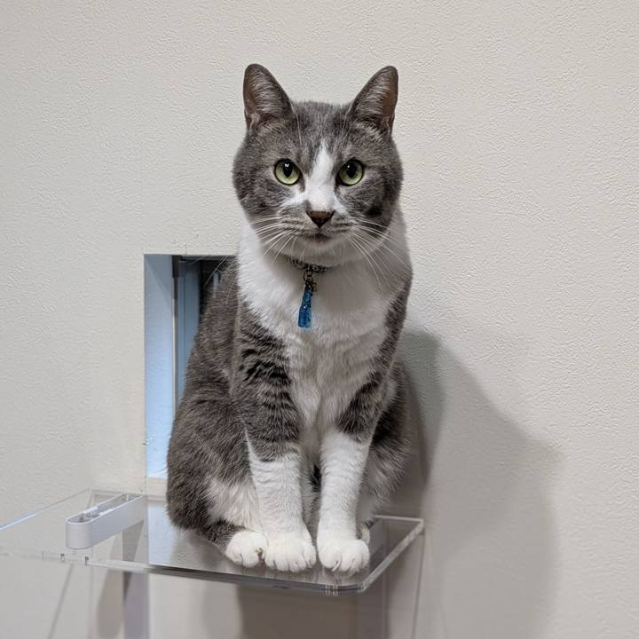 2df14d18 b4a1 417a 9761 f16c48b16d01 1753958767627