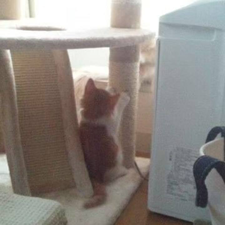 2df15bfe 0ff0 4365 94ad c86087e41814 1619059260304