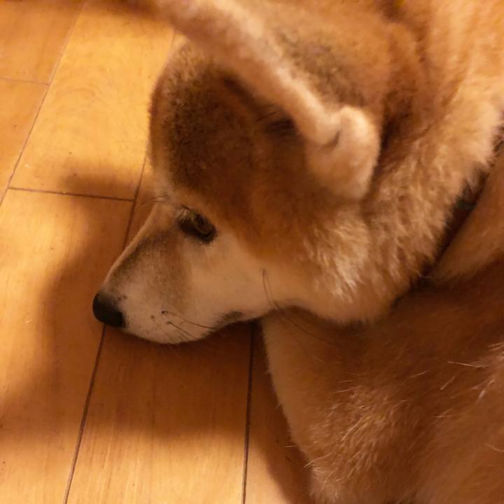 2df16976 146e 46fb b581 2ce7078b00a0 1536321559685