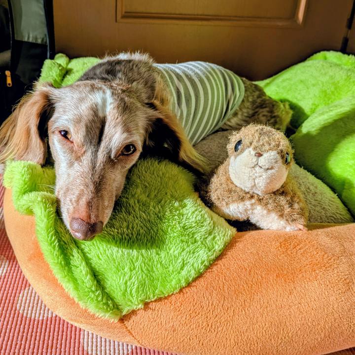 2df16b77 463e 48da 80f4 7a71dab9df0e 1761520703707