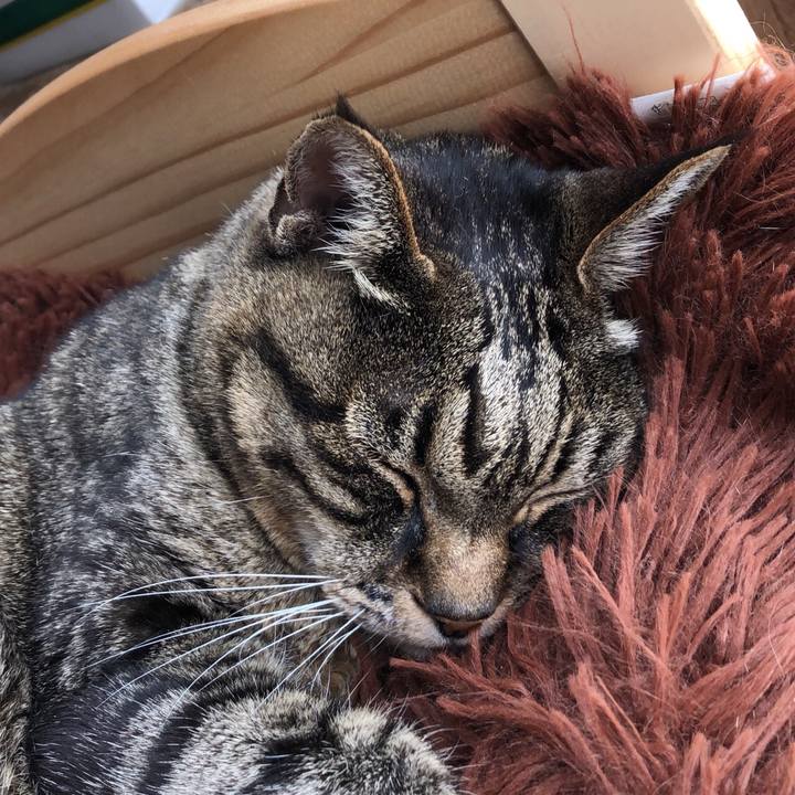 2df16f97 b67c 4a05 b919 82617eb297f8 1523366231420