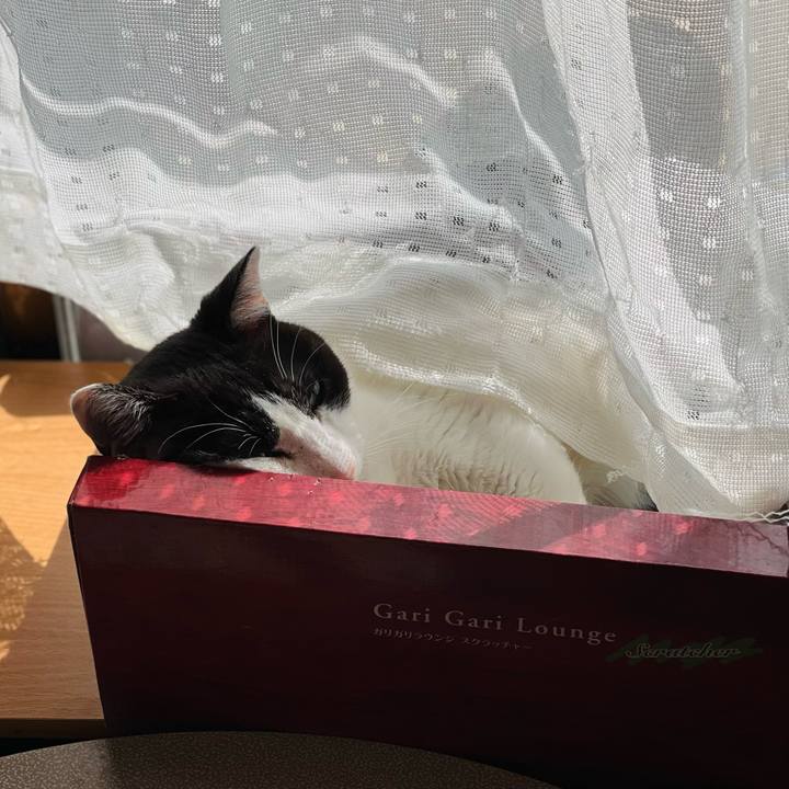 2df180ca 4069 4314 9559 03245da6e0f0 1651717944259