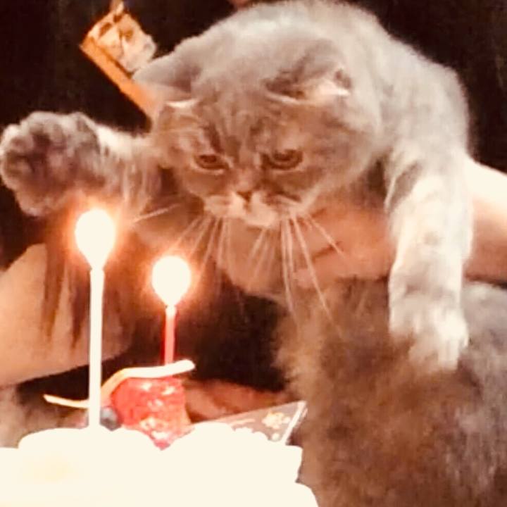 2df18552 b12d 4c50 90b1 e78d01a1e69c 1508302572511