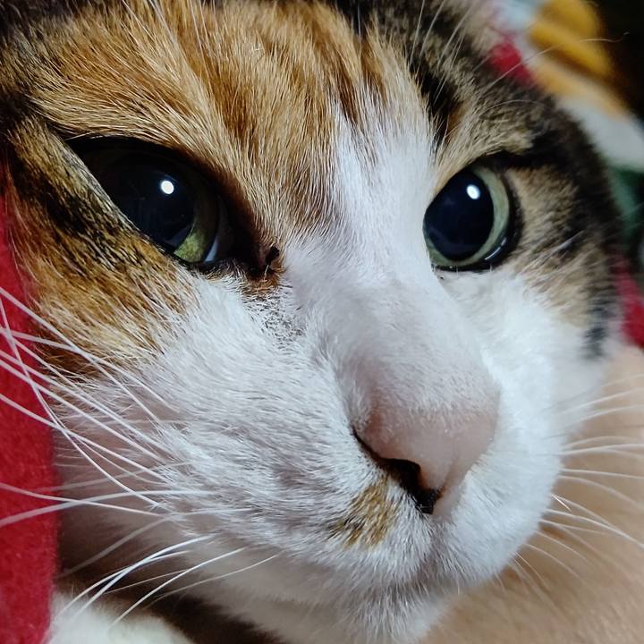 2df1dc08 6ddf 487b 98ed 96d59a50b6ec 1638998497818