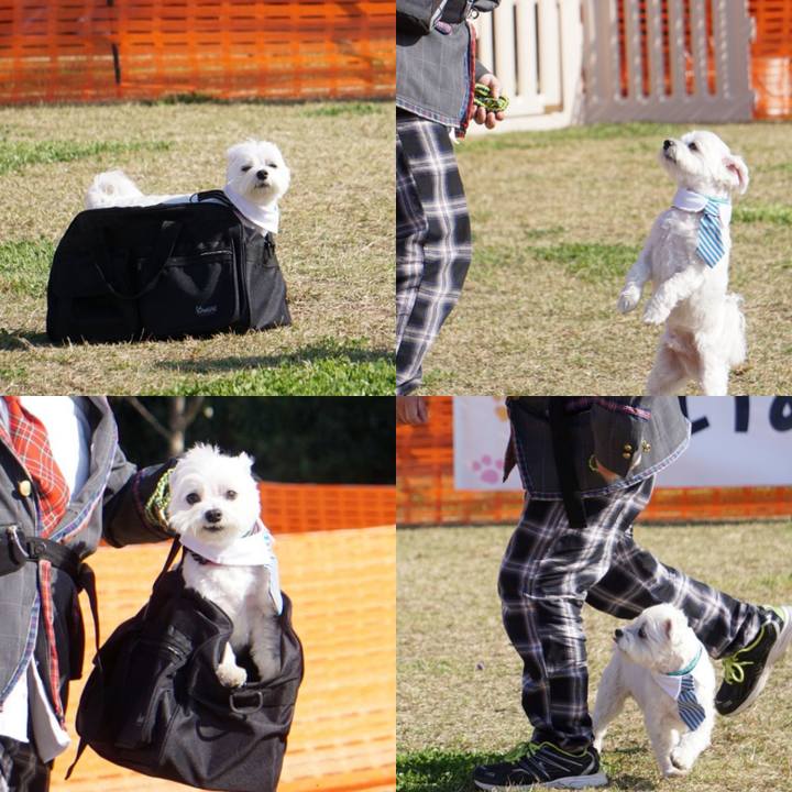 2df2074f bb2f 40f9 bdd9 f112b8e196c8 1604282881432