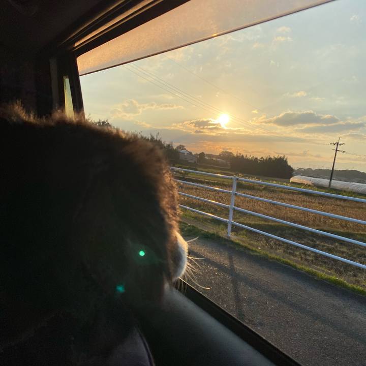 2df25f06 f657 4a0d 81fd 2974f5e2c518 1666995130765