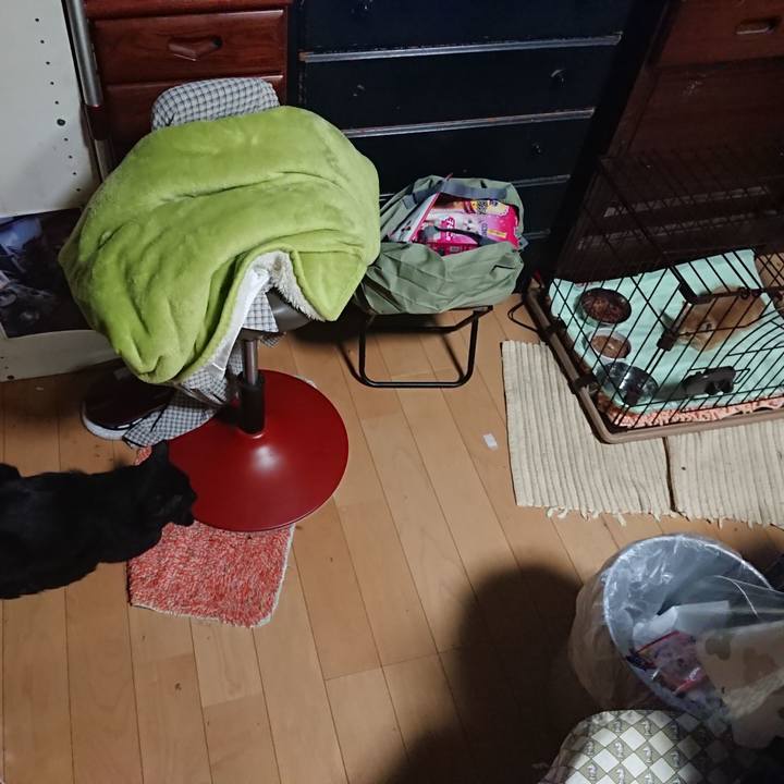 2df2990a 4ad7 4cf1 8b89 b0a4a71a498d 1627732864987