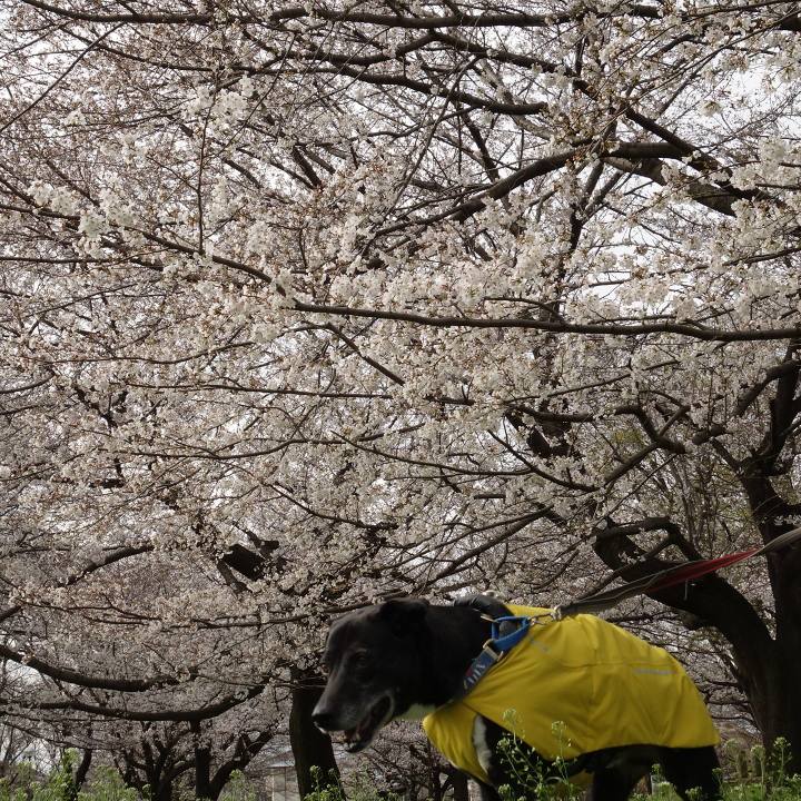 2df2aa10 1562 459a a123 f77afbbf5507 1743383951452