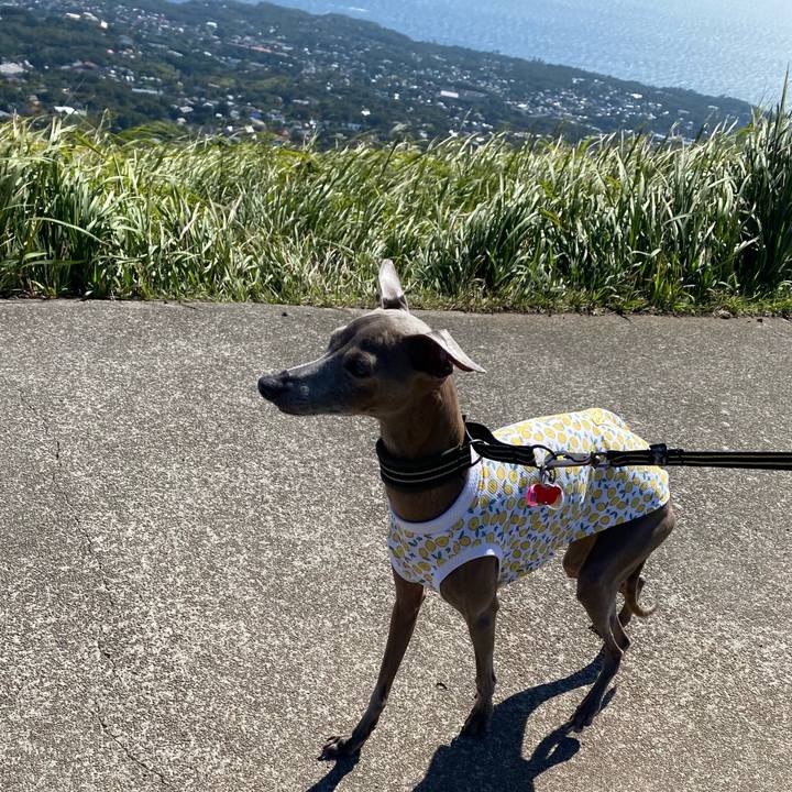 2df2b6da 93f8 4930 a6ca 98332396f5d1 1760685385927