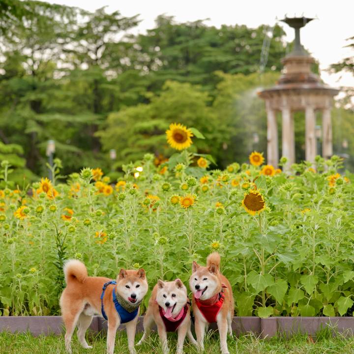 2df31150 b6a8 478f 92e8 acbfc661f88a 1754151314097