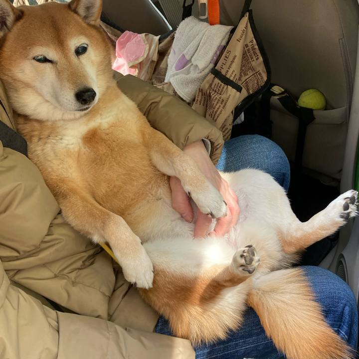 2df323d3 89ee 4f93 b644 9b7838012fe7 1643083032553