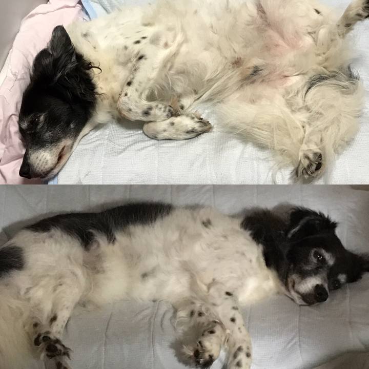 2df32da8 5fe0 4805 ade6 5eecd8908caf 1537446275448