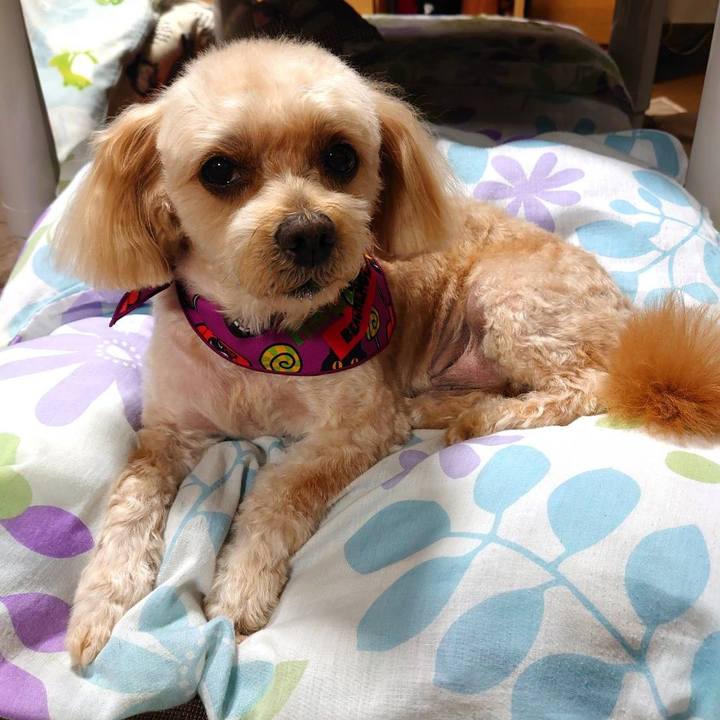 2df3346b ad78 40f1 a682 f862b5c3a954 1633170720690