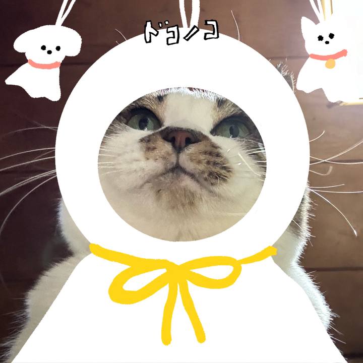 2df3b74b 2947 4119 b5ee 706047ddd10c 1781583699406