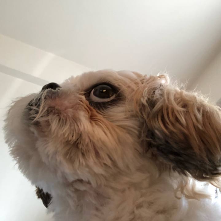 2df3baca df96 46b7 855a 61dc2a95cb76 1540625841777