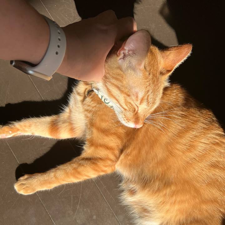 2df3cafc 4bd4 47df 8939 c8c45bb564f3 1641374532221