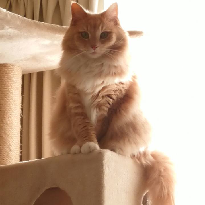 2df3e1a4 5b93 4ea1 a94b e16fb298a6d1 1516022953067