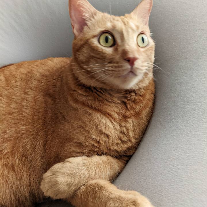 2df3e71e 2601 4e36 bfc3 86b18ee613ca 1663367994315