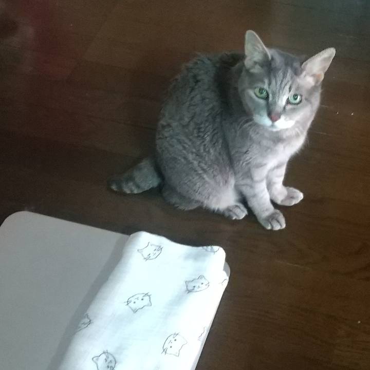 2df453ac bc1c 4b06 a1dc 36143de184c9 1687755822945