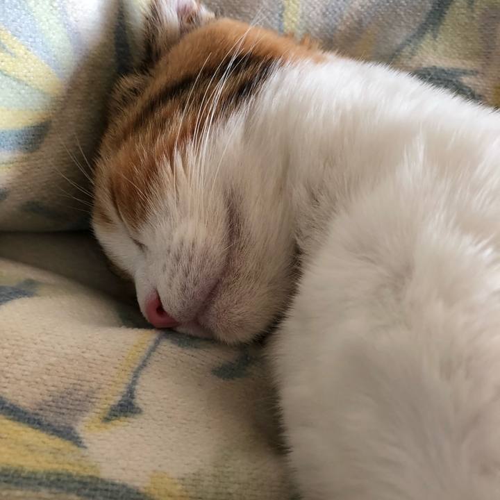 2df455d1 4d86 4e57 8205 e2fcf8fb80f1 1514097016308