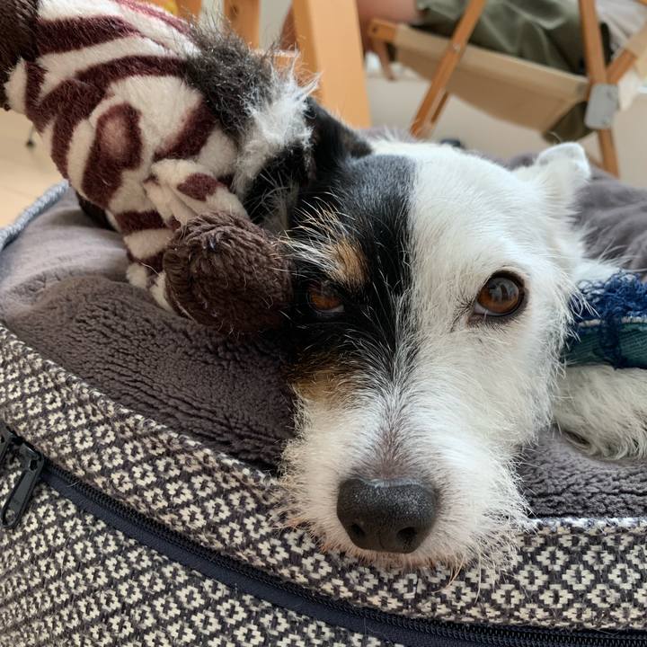 2df45ac5 c99c 4185 997d a9a7b938ff8e 1726902339533