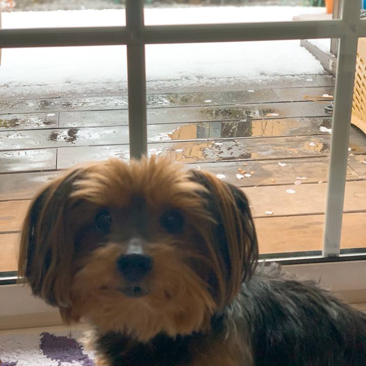 2df49e18 3cba 41a3 a452 a863b51602e0 1585448586603