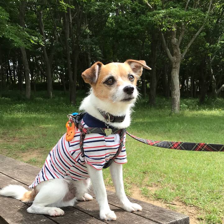 2df4a26d 871e 4434 a1d2 230cb53bd8dd 1559364906403