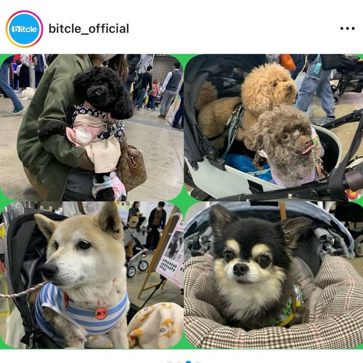 2df4b768 194a 4382 a6a4 21ecc3b6ab6a 1744257162751