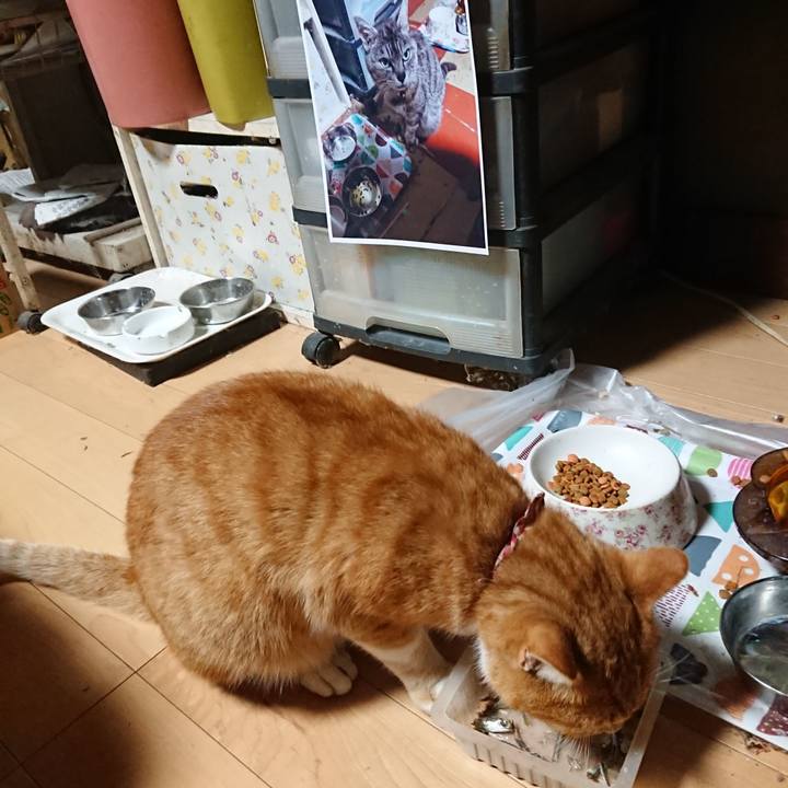 2df4dcdb 3d9b 477f 8d53 afae71599a4a 1601668538032