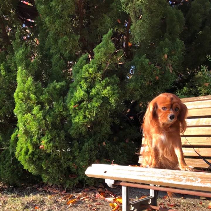 2df504e5 d748 4f08 9a5e 2976679566d8 1573948747077