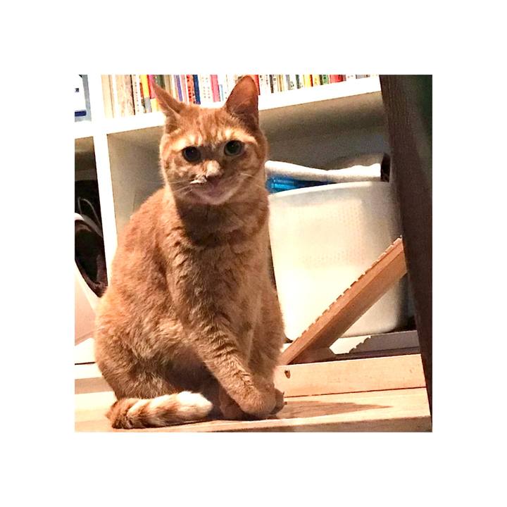 2df58950 b2a3 468a 8372 27674bd6cef0 1638752365146